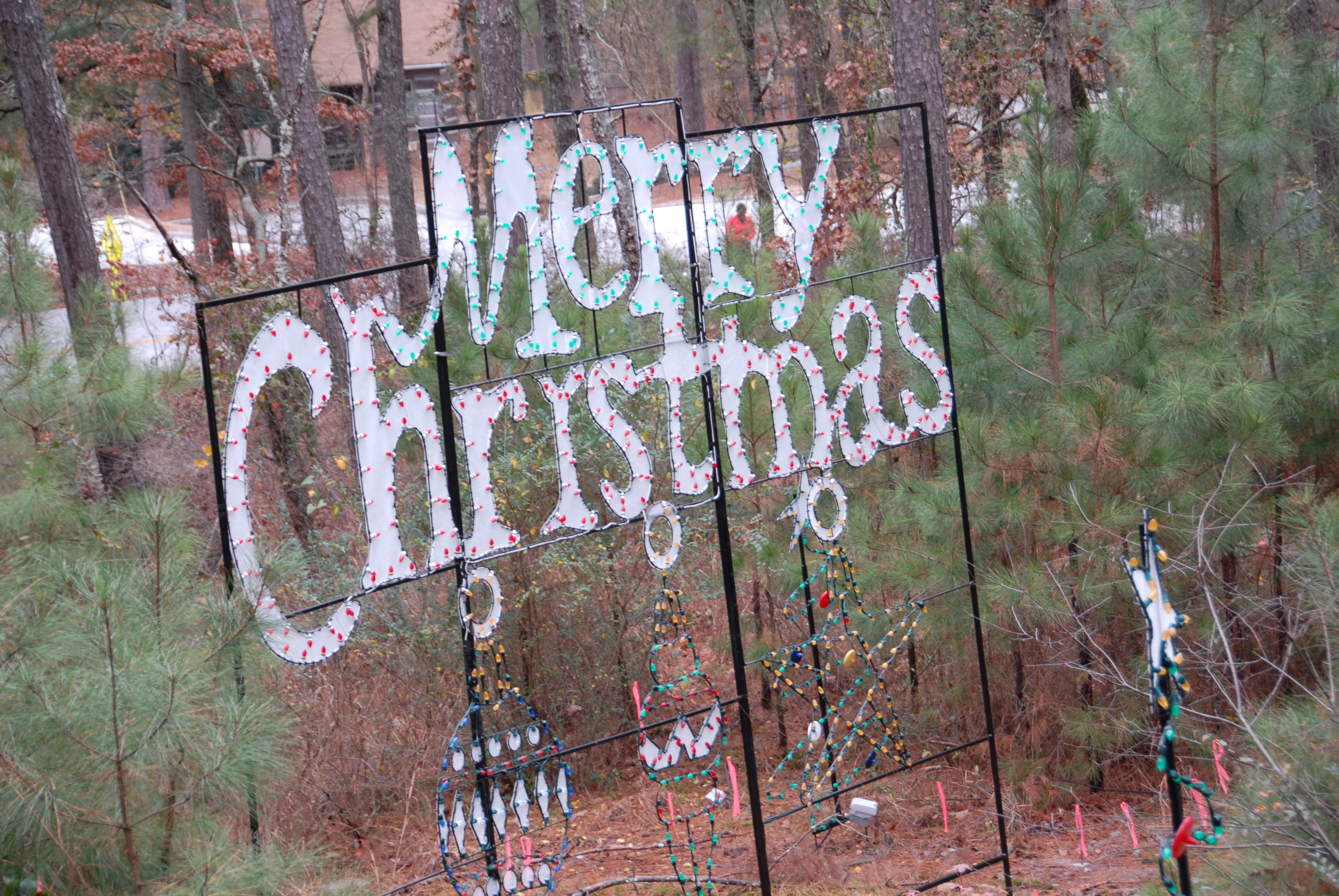 Stone Mountain Park, 2013 photo by Roy Burke