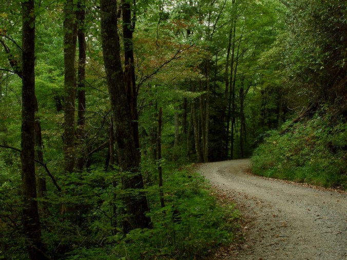 White County Georgia Road Dirt September 27, 2003