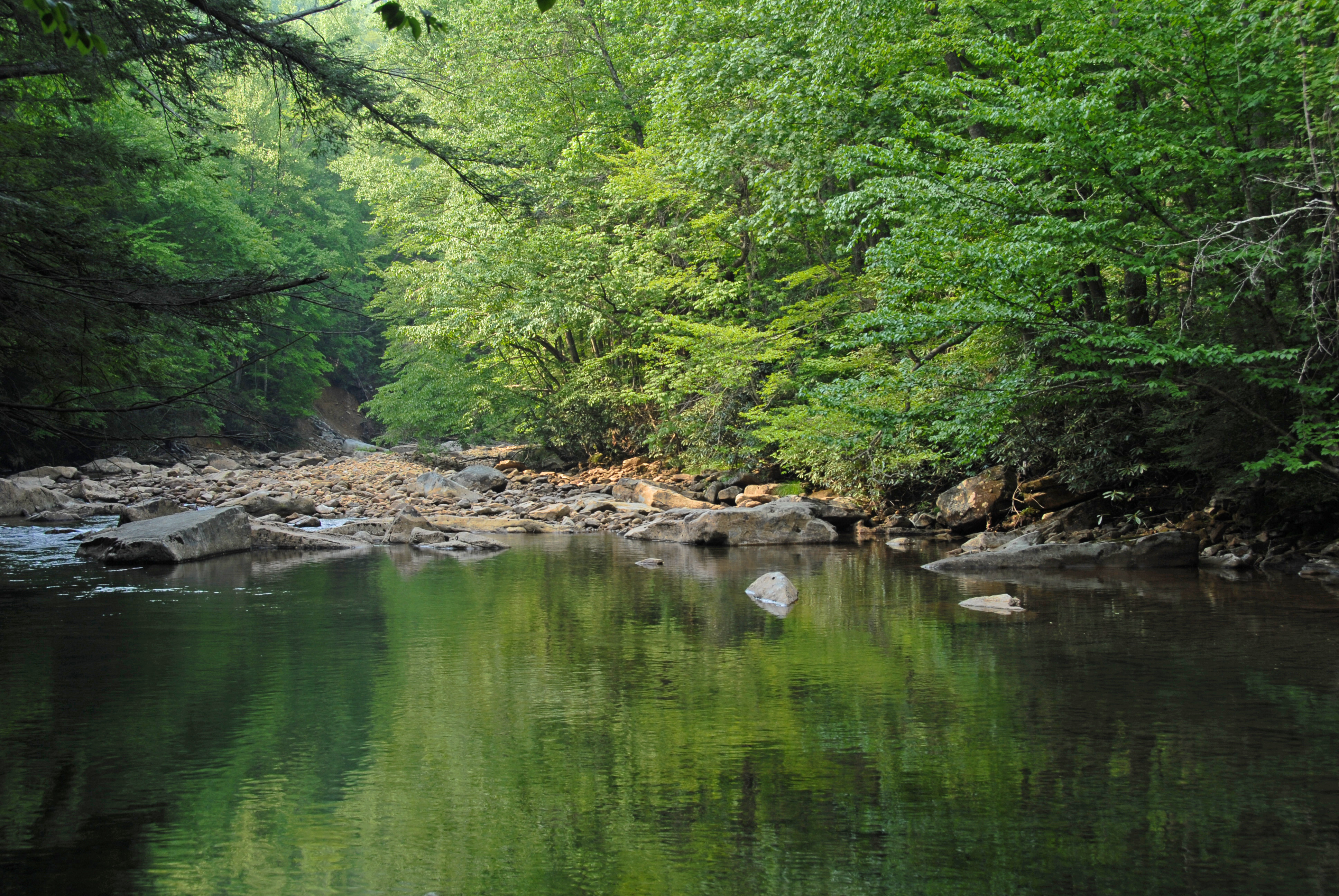 070525-022-NicholasCoWvaNFCherryRiver01A