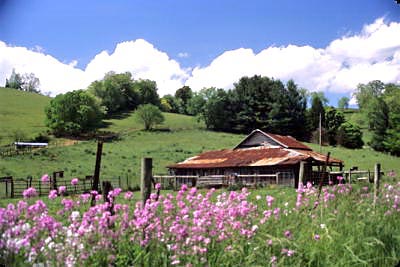 1376-31SmythCoDamesRocketBarn